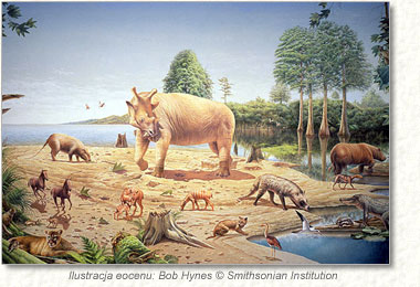 Ilustracja eocenu